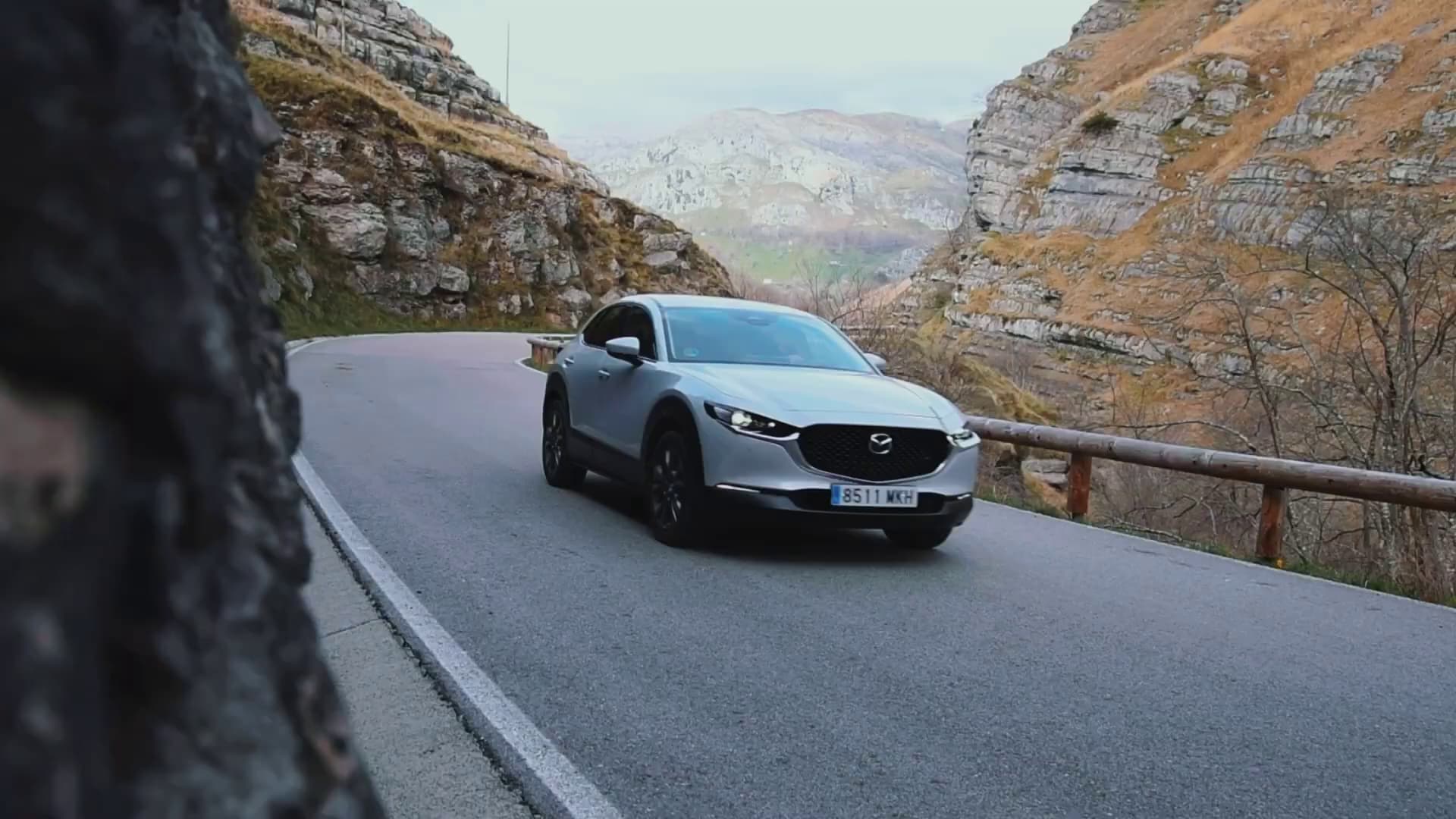 Video preview